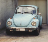 K&auml;fer 1303